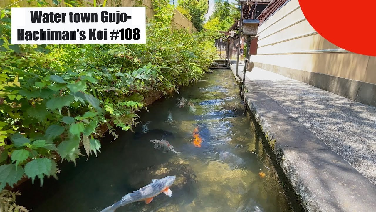 🏞️ 야나카 물의 작은 길(야나카 미즈노 코미치) 이미지 4